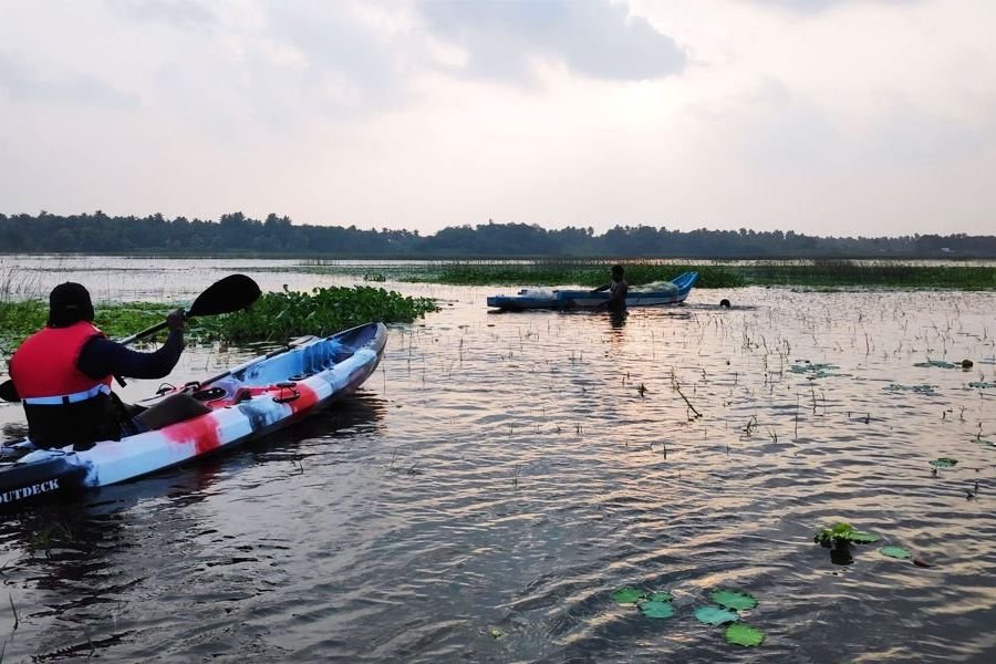 A group kayaking on calm backwaters in Pondicherry