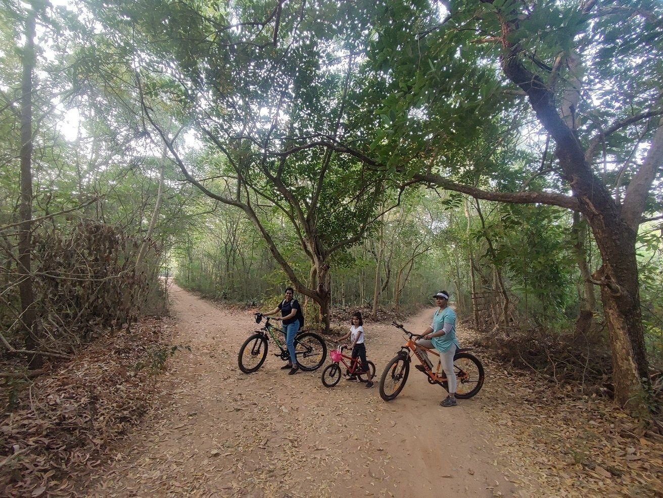 Cyclists on a forest trail near Auroville at sunrise