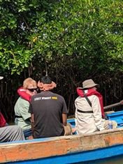 Boats in the narrow green channels of the Pichavaram mangrove forest